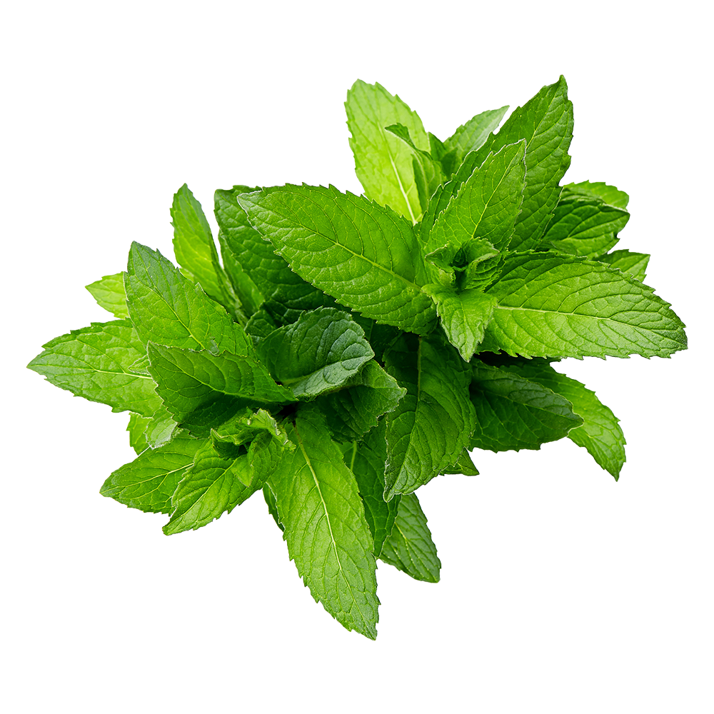 Peppermint Oil